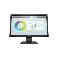 HP P204v 19.5-inch Monitor