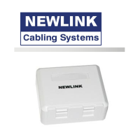 NewLink Surface Mount Box - 2 Port (NEW-4000102)