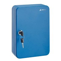Adiroffice Steel 48 Keys Cabinet Security Storage Box - Wall Mount with Key Tags
