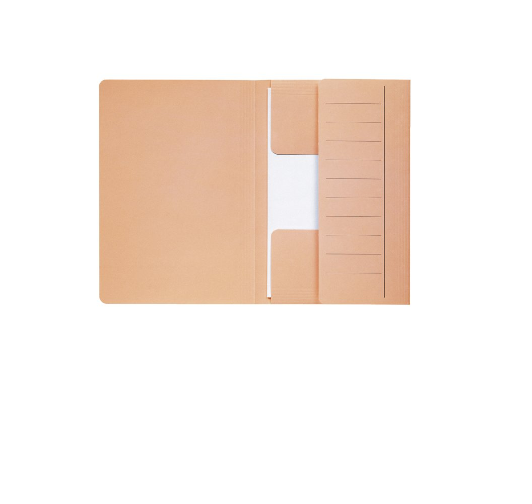 Jalema Secolor Mammoth Document Folder Chamois